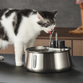 Fontaine à eau sans fil pour chat