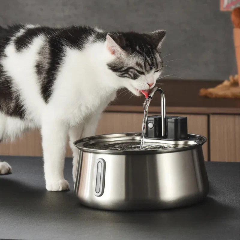 Fontaine à eau sans fil pour chat